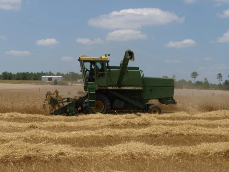 A combine harvesting a field, from Baker Feed's farm photographs.