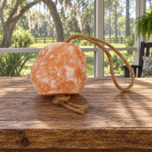 Jolly Salt Snack on a Rope