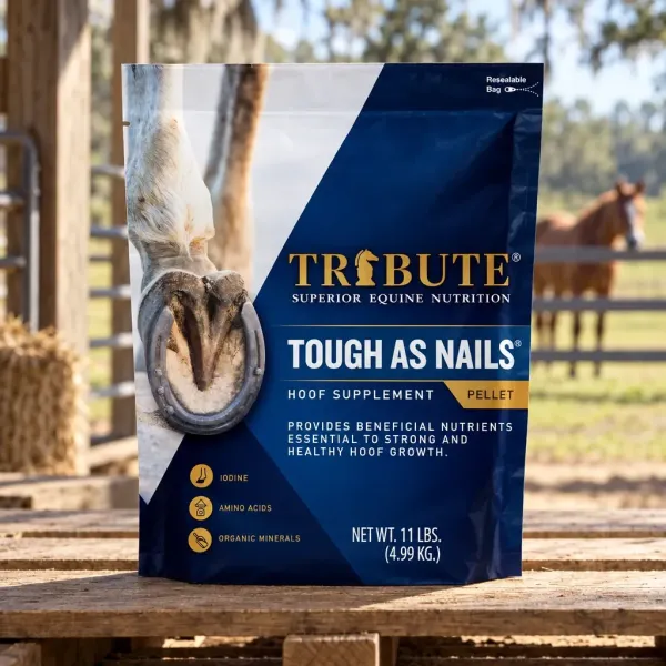 Tough As Nails