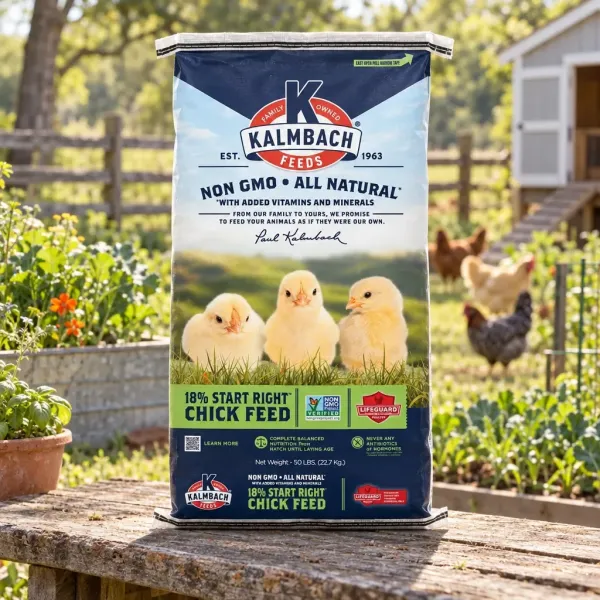 18% Start Right Chick Feed, Non-GMO