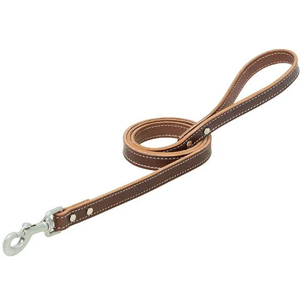 Bridle Leather Dog Leash