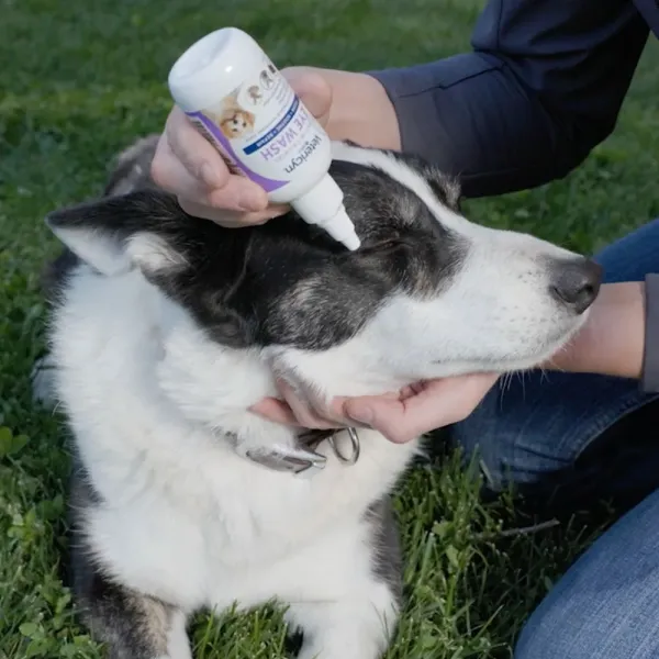 Vetericyn Plus Antimicrobial All Animal Eye Wash