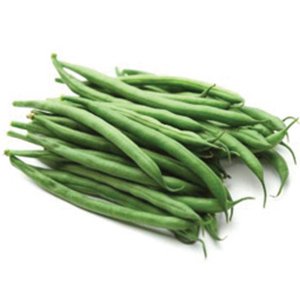 Bean, Kentucky Wonder 125, Bush