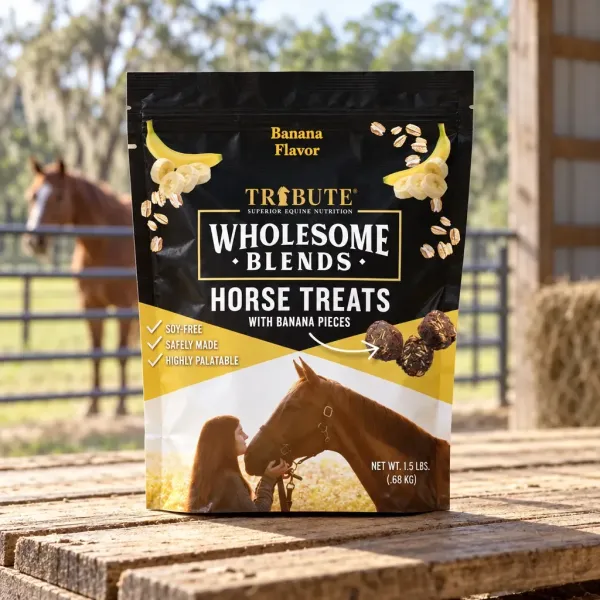 Wholesome Blends Banana Horse Treats