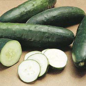 Straight Eight Cucumber Seed