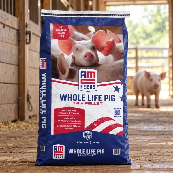 14% Whole Life Pig