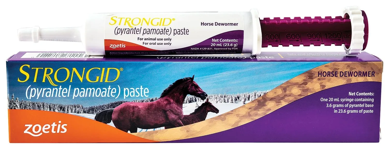 Zoetis Strongid (pyrantel pamoate) Paste