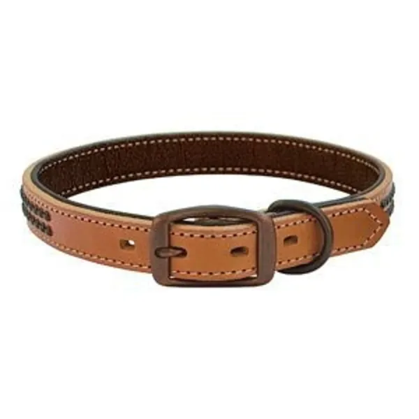 Outlaw 1in Collar