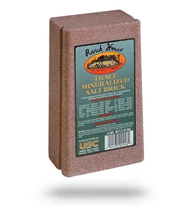 Ranch House Trace Mineralized Salt Brick, bag front