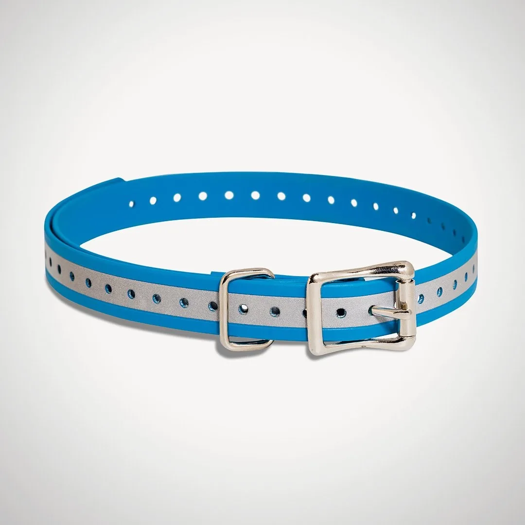 SportDOG Replacement 3/4" Collar Straps in Reflective Blue