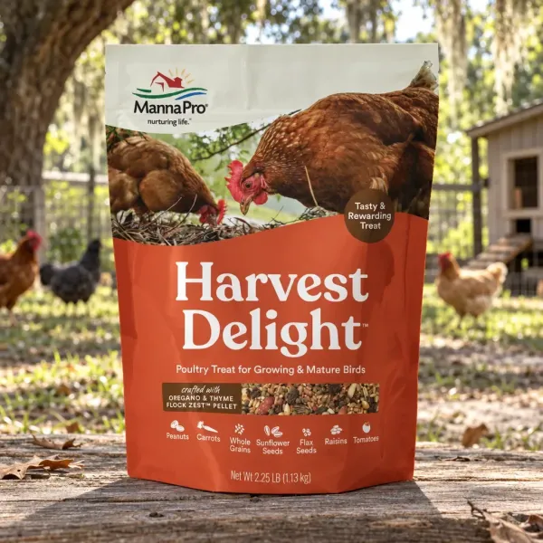 Harvest Delight