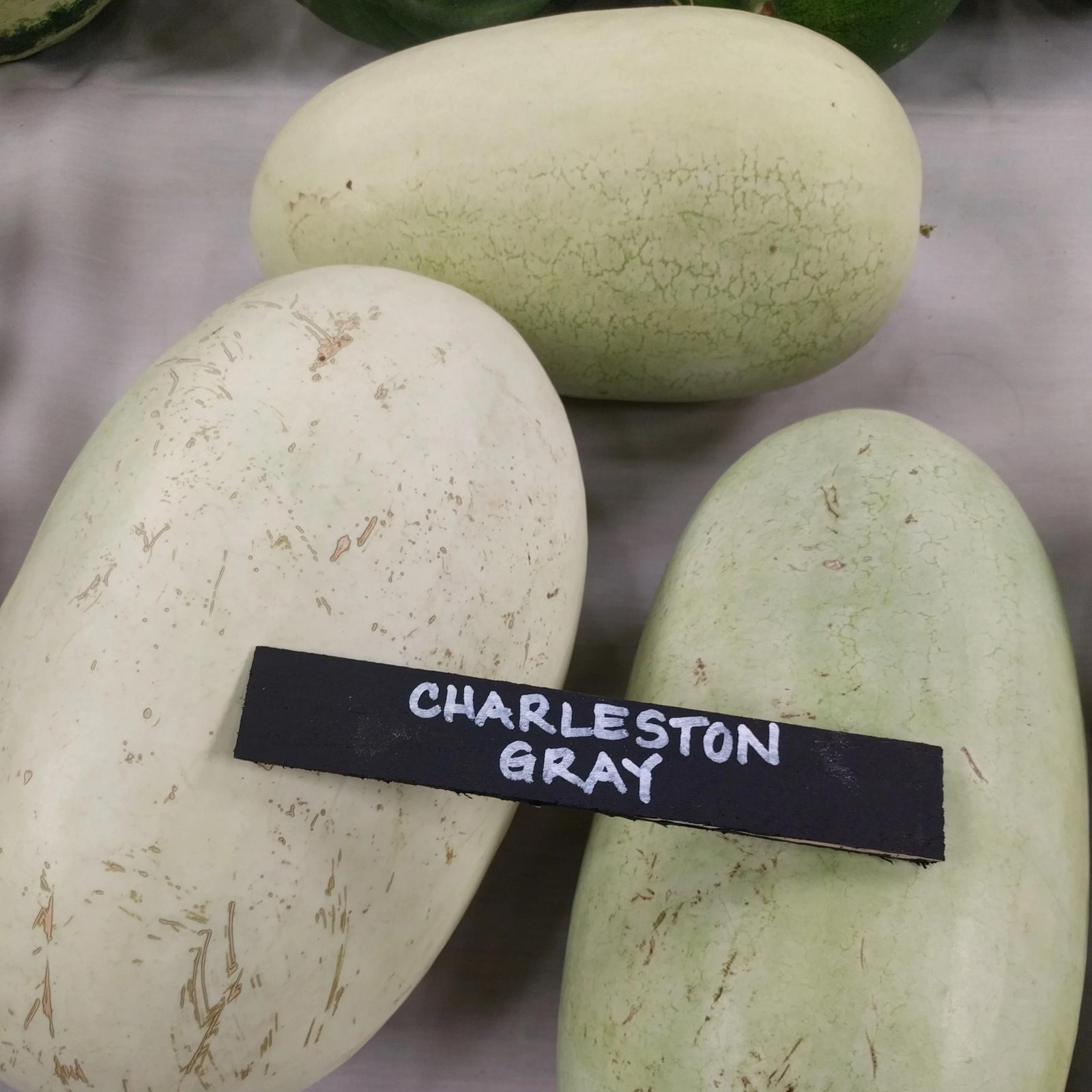 Charleston Gray Watermelon Seed