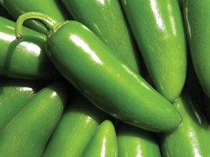 Pepper, Jalapeno M