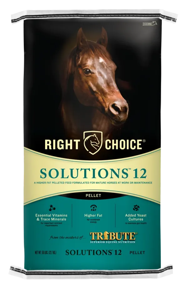 Solutions 12 Pellet