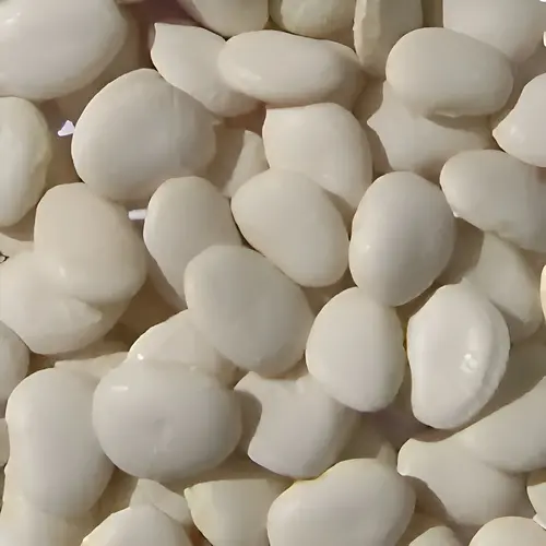 Henderson Bush Lima Bean Seed