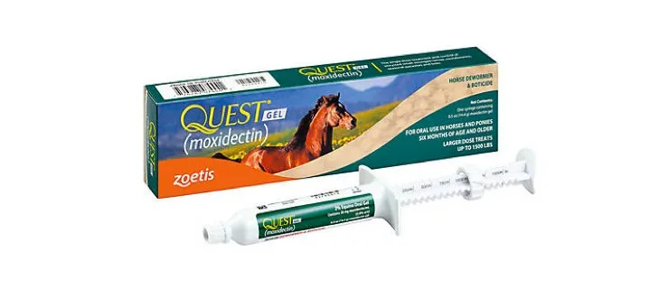 Quest Gel