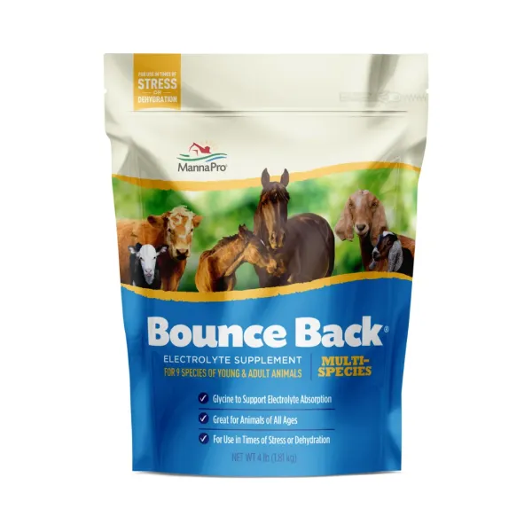 Bounce Back