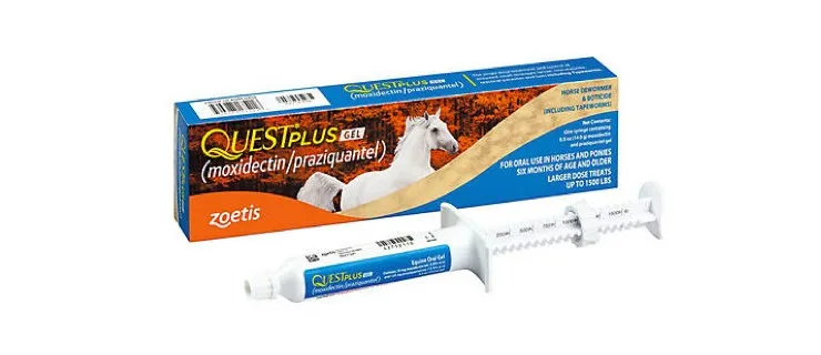 Quest Plus Gel