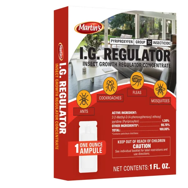 I.G. Regulator