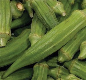 Okra, Clemson Spineless #80