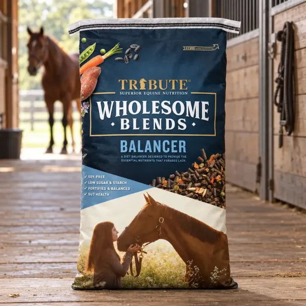 Wholesome Blends Balancer