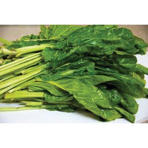 Chard, Swiss Fordhook