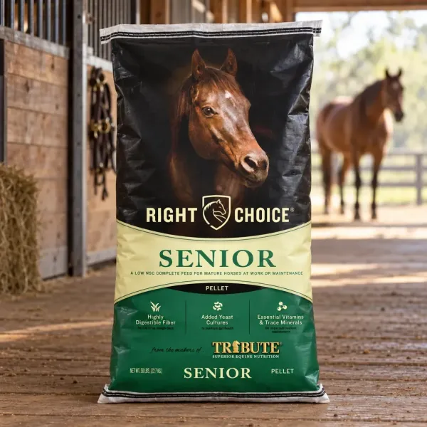 Senior Pellet