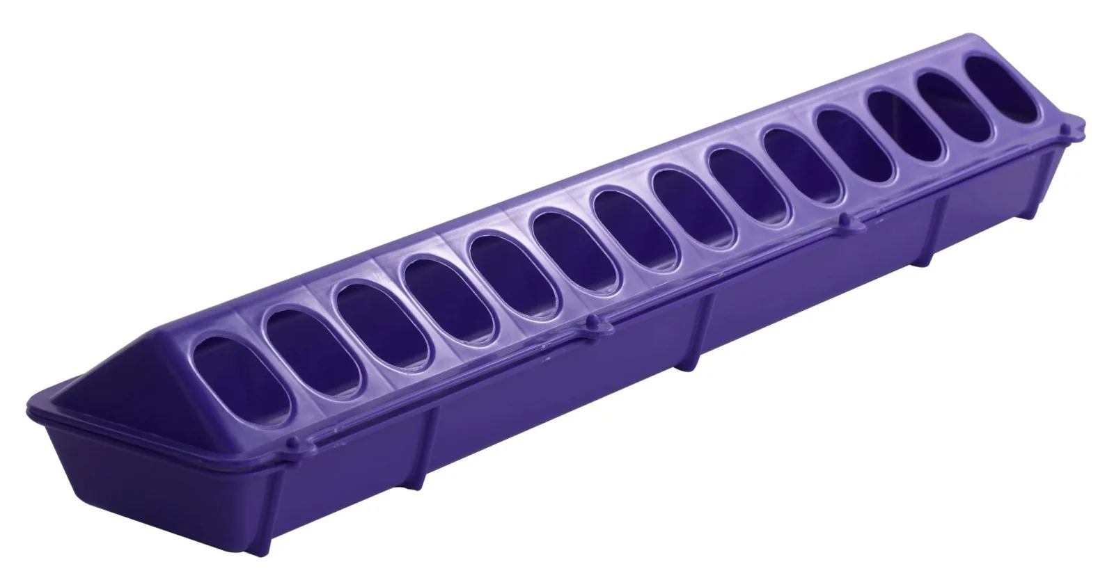 Little Giant Plastic Flip-Top Poultry Ground Feeder in Purple