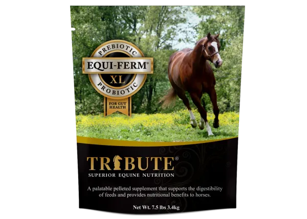 Equi-Ferm XL