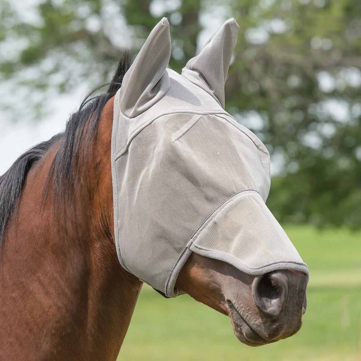 Weaver Leather Nose & Ear Covered Fly mask with Xtended Life Closure System