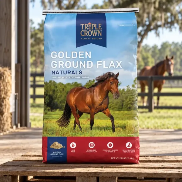 Naturals Golden Ground Flax