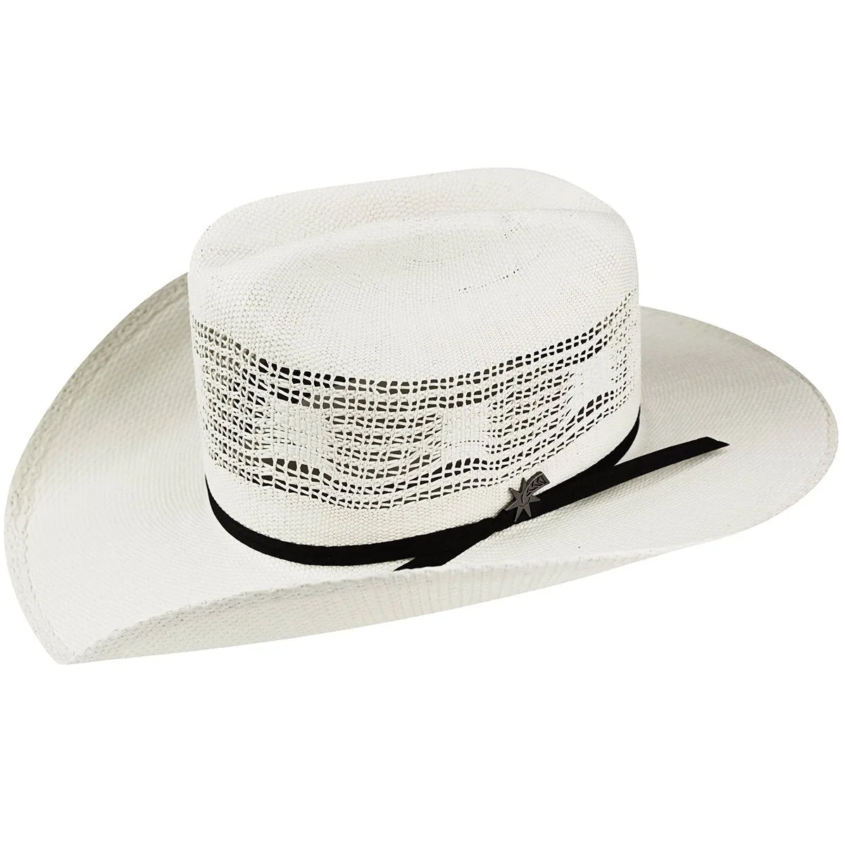 Bailey Western Desert Breeze