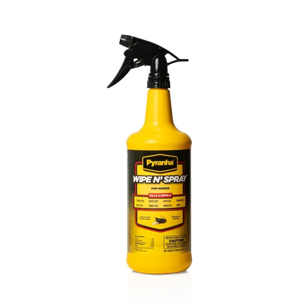 Wipe N' Spray