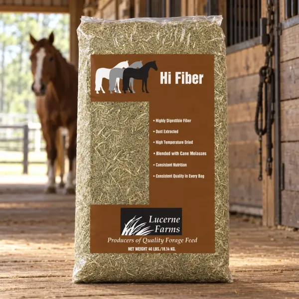 Hi Fiber