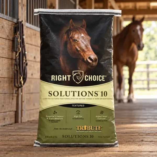 Solutions 10 Textured