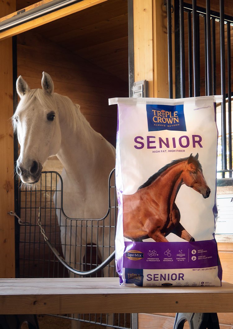 Triple Crown Senior