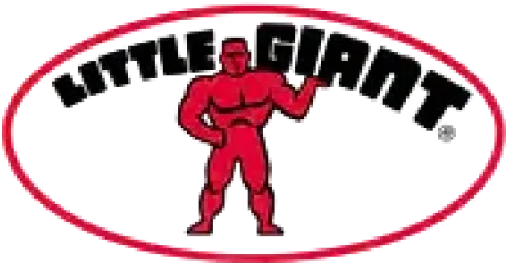 Little Giant