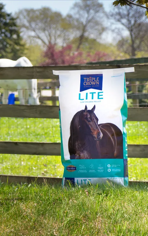 Triple Crown Lite