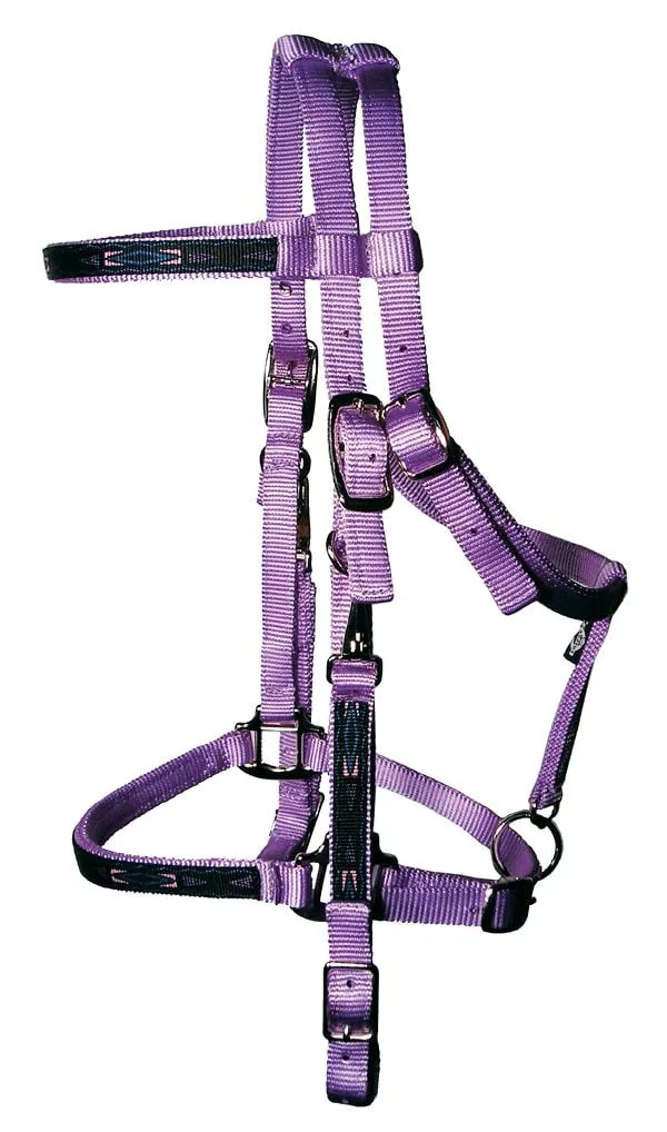 Trail Bridle with Southwest Overlay, Nickel Hardware