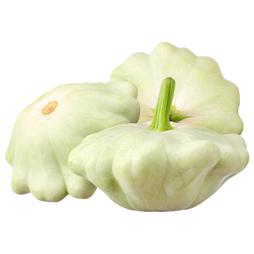 Squash, White Bush Scallop Seed