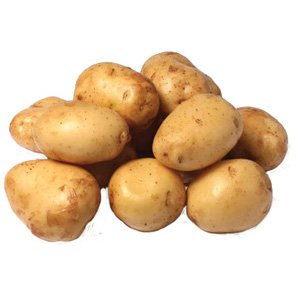 White Kennebec Seed Potatoes