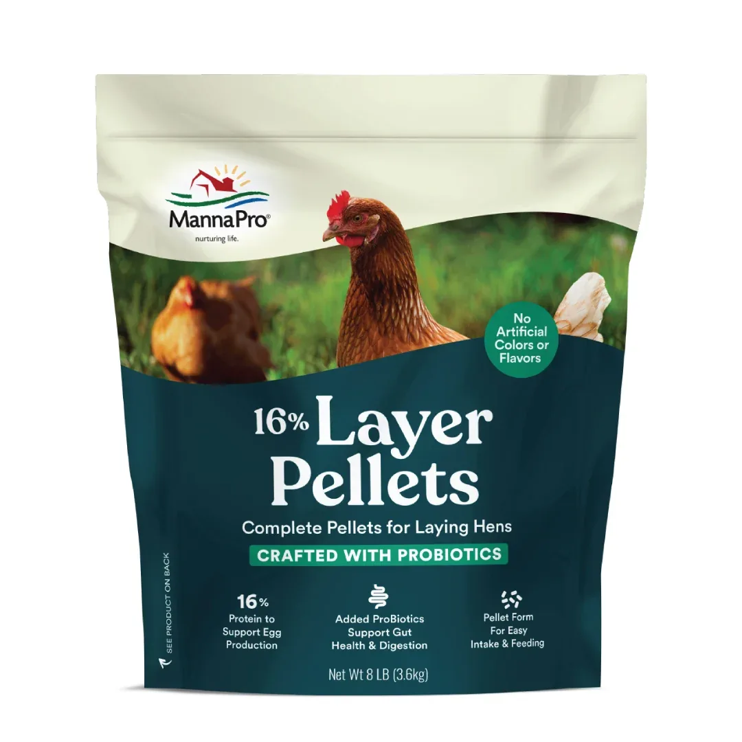 Layer Pellet 16% with Probiotics