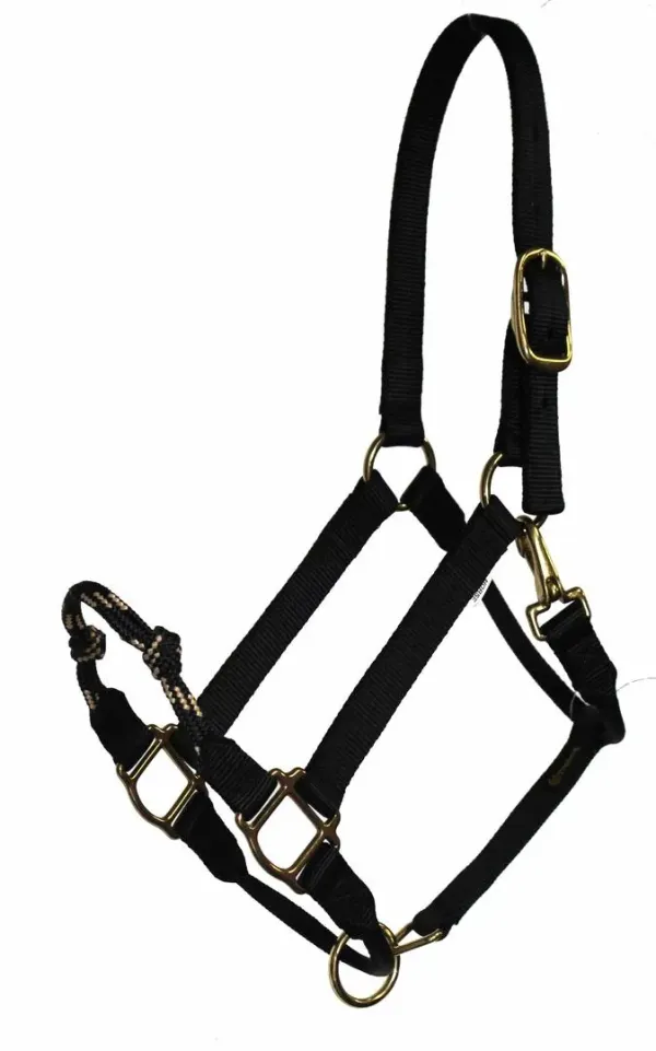 Specialty Combination Halter